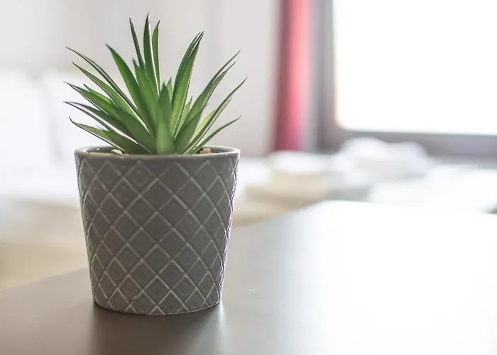 Skg Premium Kastra 公寓