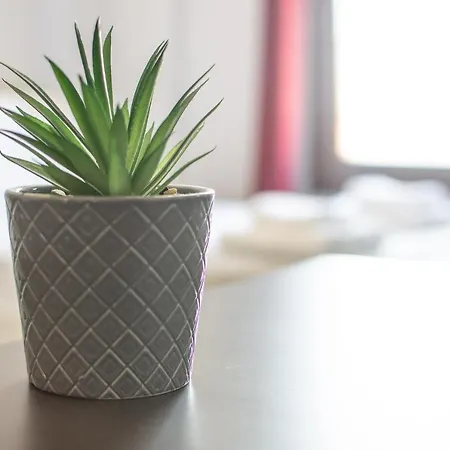 Skg Premium Kastra 아파트